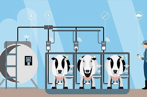 Jakie zbiorniki nadają się do przechowywania mleka zaraz po udoju?